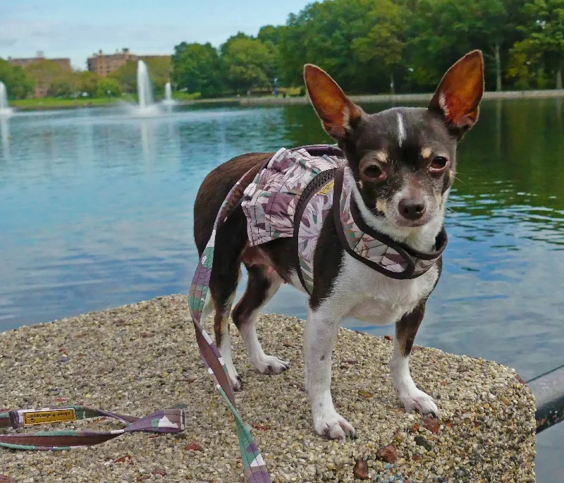 Floral Camo 2 pc Tiny Dog Dress Vest Harness & Skirt 2 - 8 LBS Tunics Handmade artisanal Floral Camo 2 pc Tiny Dog Dress Vest Harness & Skirt 2 - 8 LBS Tunics Handmade artisanal