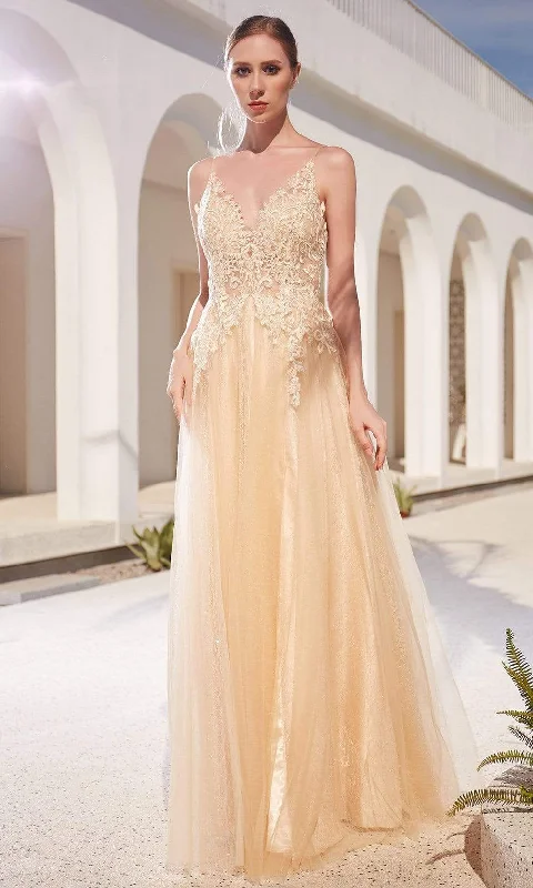 J'Adore Dresses JM104 - Lace Glitter Tulle A-Line Gown Tunics Fashionable chic